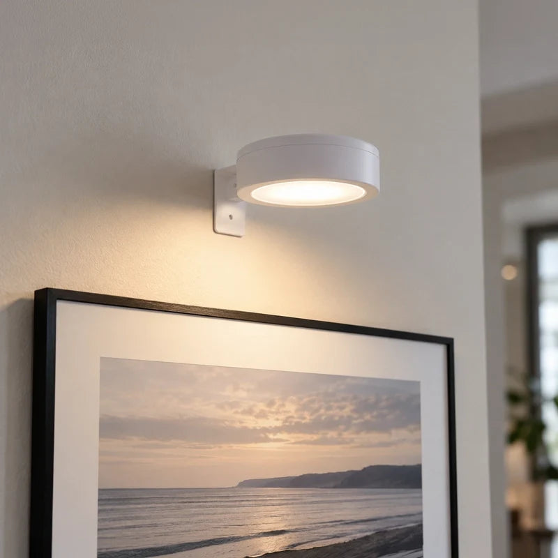 Cordless Picture Light