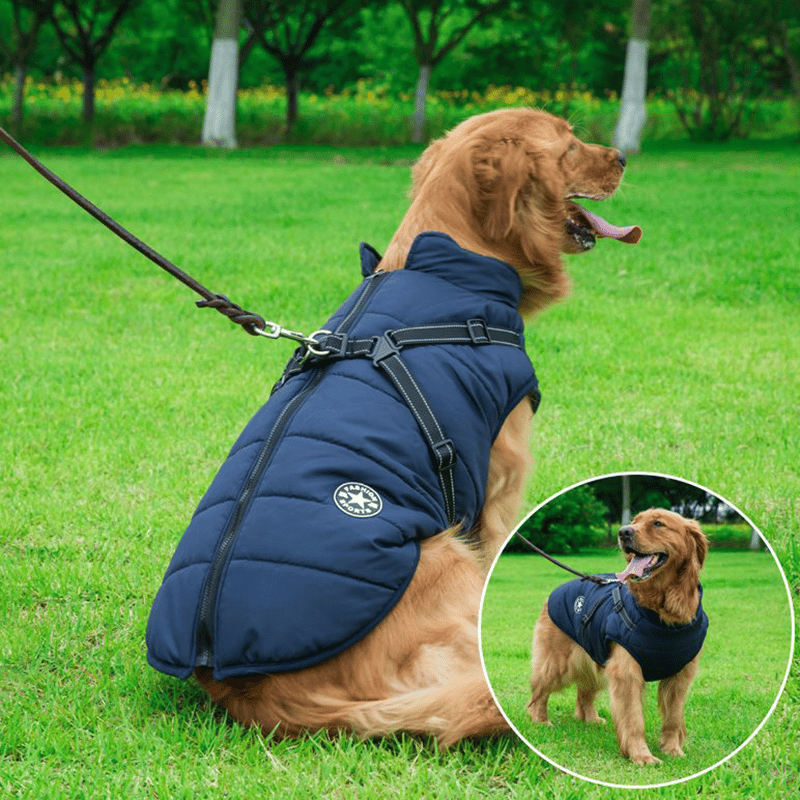 Winter Jacket for Dogs with Harness