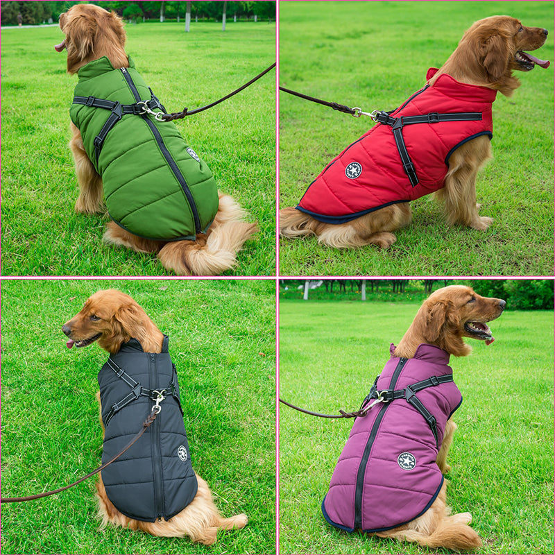 Dog Jacket | Wind & Water Resistant | Integrated Harness