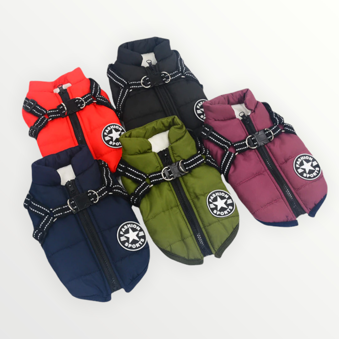 Dog Jacket | Wind & Water Resistant | Integrated Harness