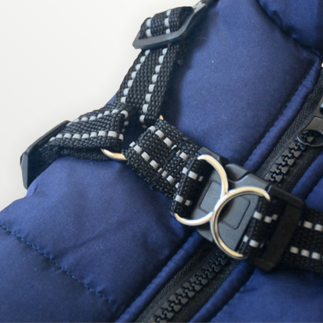 Dog Jacket | Wind & Water Resistant | Integrated Harness